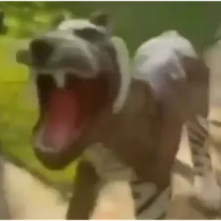 Ftf