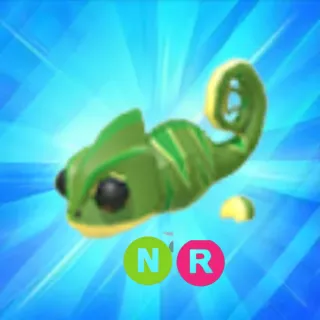 N CHAMELEON