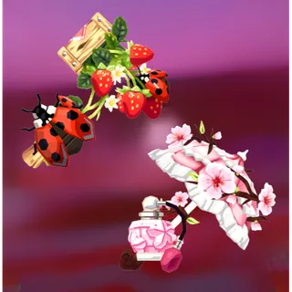 STRAWBERRY FIELDS SET & SAKURA PARASOL SET