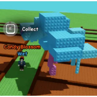 CANDY BLOSSOM TREE [NO ELDER] - GROW A GARDEN