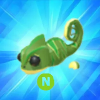 N CHAMELEON