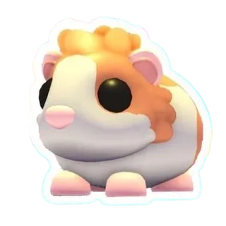 RED DUTCH GUINEA PIG