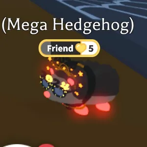 MFR Hedgehog
