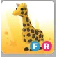 FR Giraffe