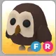 FR Owl