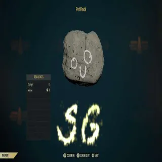 Pet Rock