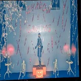 Fashionable Raider Outfit