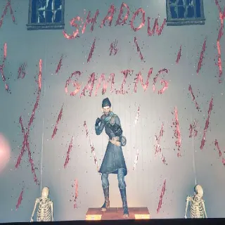 Fashionable Raider Outfit + Hat