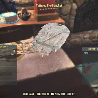 tattered field jacket