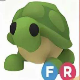 Fr Turtle