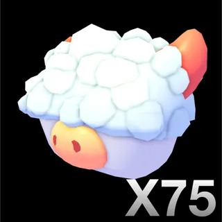 X75 ABERDEEN ANGUS BOX