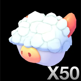 X50 ABERDEEN ANGUS BOX