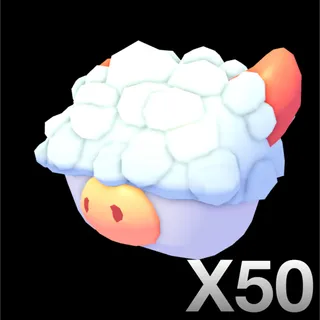 X50 ABERDEEN ANGUS BOX