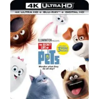 Secret Life Of Pets 1 4k iTunes only digital movie code ports to Vudu, MA, amazon, Gp