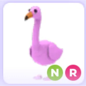 NR Flamingo