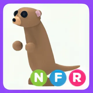 NFR Meerkat