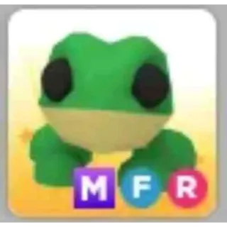 MFR Frog