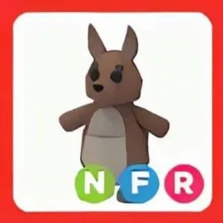 NFR Kangaroo