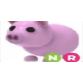 NR Pig