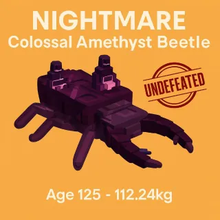 Nightmare Colossal Amethyst Beetle - Age 125 - 112.24kg
