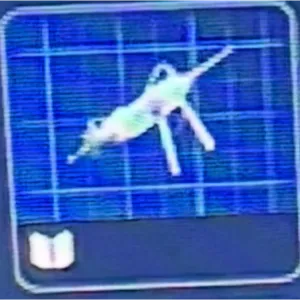 Defibrillator Blueprint