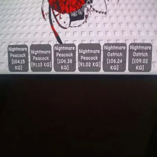 2 GODLY AND 2 COLOSAL PEACOCKS 90-100KG