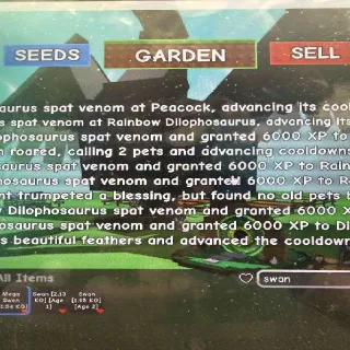 SUPER RARE BLACK SWAN