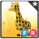 Giraffe FR