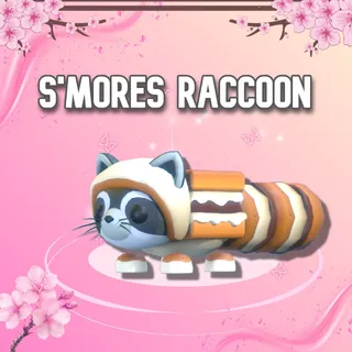 S'mores Raccoon