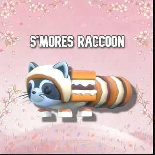 S'mores Raccoon