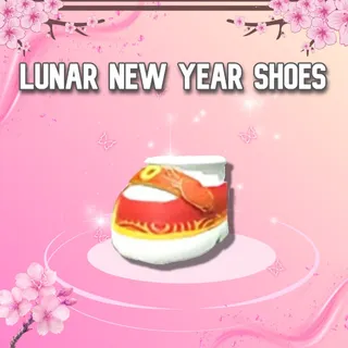 Lunar New Year Shoes