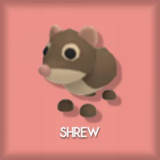 Shrew