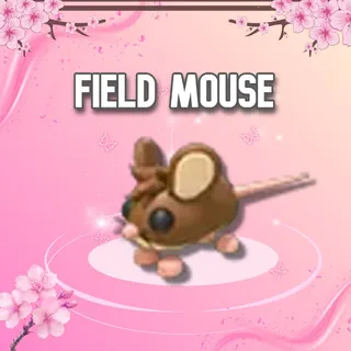 Field Mouse
