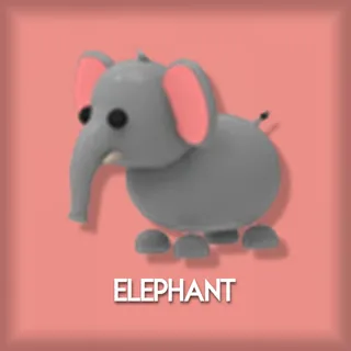 Elephant