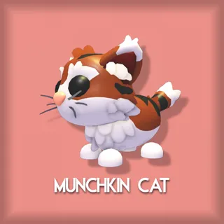 Munchkin Cat