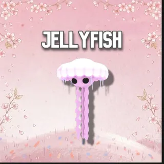 Jellyfish