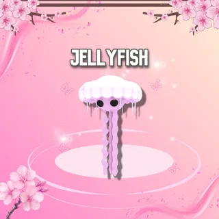 Jellyfish