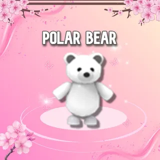 Polar Bear