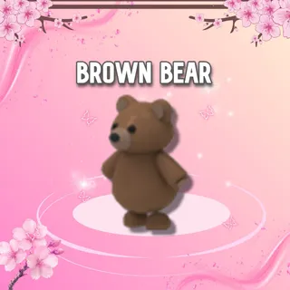 Brown Bear