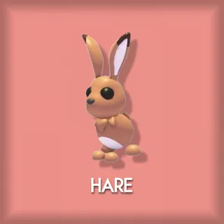 Hare