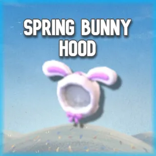 Spring Bunny Hood
