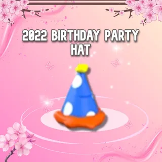 2022 Birthday Party Hat