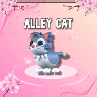 Alley Cat