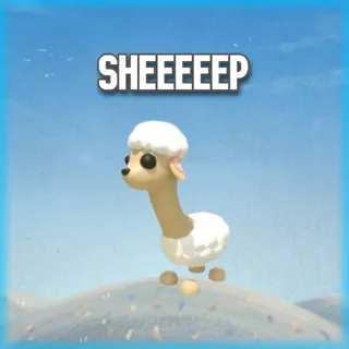 Sheeeeep