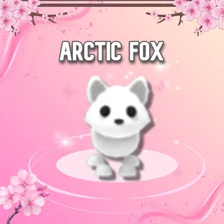 Arctic Fox