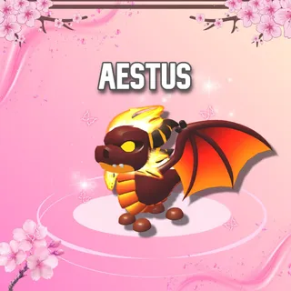 Aestus