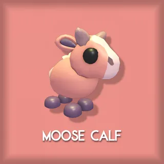 Moose Calf