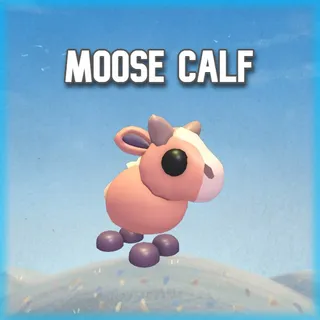 Moose Calf
