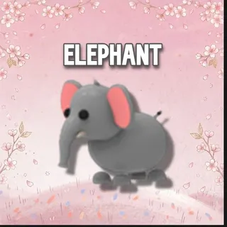 Elephant