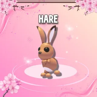Hare